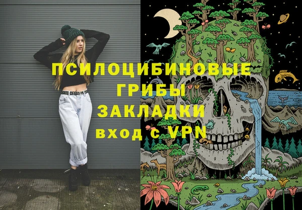 дмт Алексеевка