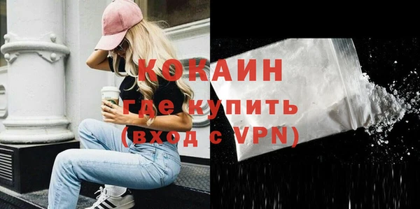 сатива Арсеньев