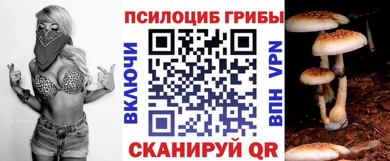 Псилоцибиновые грибы Psilocybine cubensis  купить  цена  Новошахтинск 