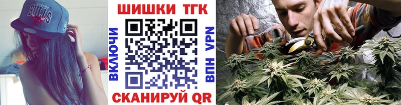 блэк спрут ссылка Новошахтинск Бошки марихуана ГИДРОПОН